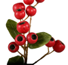 Picture of 24" Hawthorn Spray - Red