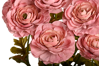 Picture of 21" Ranunculus Bush x 9 - Mauve