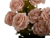 Picture of 21" Ranunculus Bush x 9 - Ivory