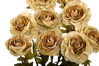 Picture of 21" Ranunculus Bush x 9 - Pale Olive