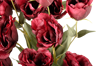 Picture of 26" Lisianthus Bush (Burgundy)