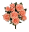 Picture of 15" Garden Rose Bush x 9 - Peach