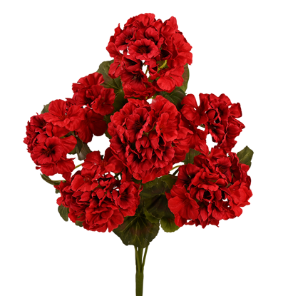 Picture of 18" Red Geranium Bush x 7