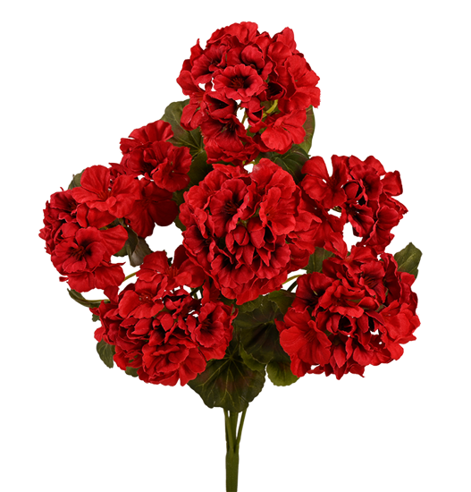 Picture of 18" Red Geranium Bush x 7