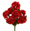 Picture of 18" Red Geranium Bush x 7