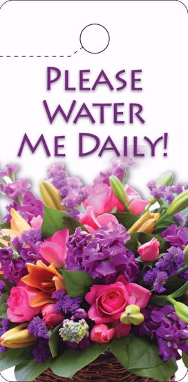 Picture of Please Water Me Tag