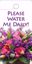 Picture of Please Water Me Tag
