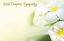 Picture of With Deepest Sympathy Floral Enclosure Card (PACK 50)