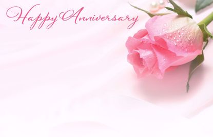 Picture of Happy Anniversary Pink Rose Enclosure Card (PACK 50)
