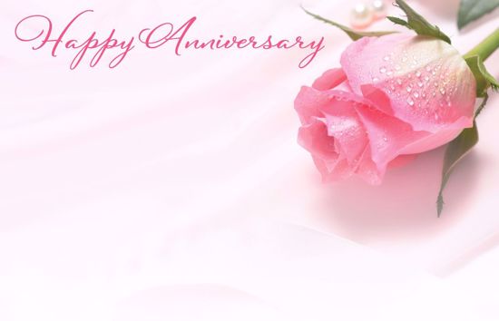 Picture of Happy Anniversary Pink Rose Enclosure Card (PACK 50)