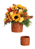 Picture of Pumpkin Patch Pot 5"