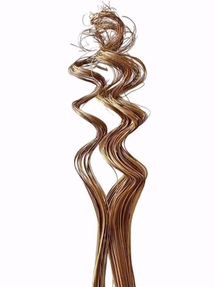 Picture of Natural Curly Ting 14-28"