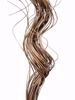 Picture of Natural Curly Ting 14-28"